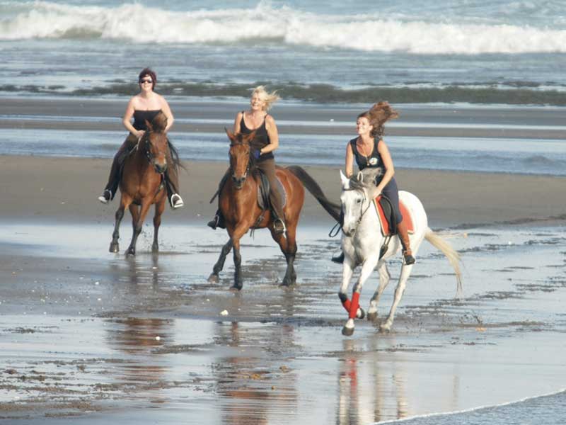 Bali ATV – Horse Ride Tour