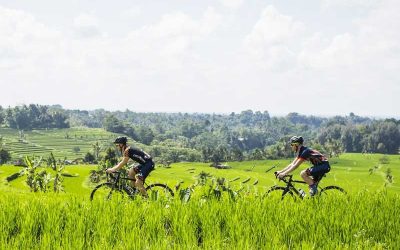 Bali ATV – Cycling Tour