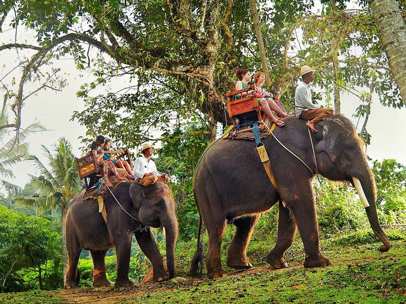 Bali ATV – Bali Elephant Tour – Zoo