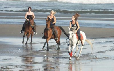 Bali ATV – Horse Ride Tour