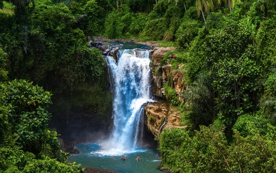 Bali Atv Quad Bike + Waterfall Tour